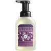Mrs. Meyer's® Mrs. Meyer's Clean Day 313584 10 Oz. Plum Berry Foaming Hand Soap - 6/Case 1 Mrs. Meyer's® Mrs. Meyer's Clean Day 313584 10 Oz. Plum Berry Foaming Hand Soap - 6/Case -Unger Sales 1917868