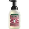 Mrs. Meyer's® Mrs. Meyer's Clean Day 662042 10 Oz. Watermelon Foaming Hand Soap - 6/Case